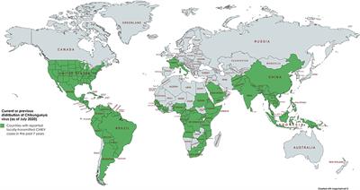 Current and Promising Antivirals Against Chikungunya Virus